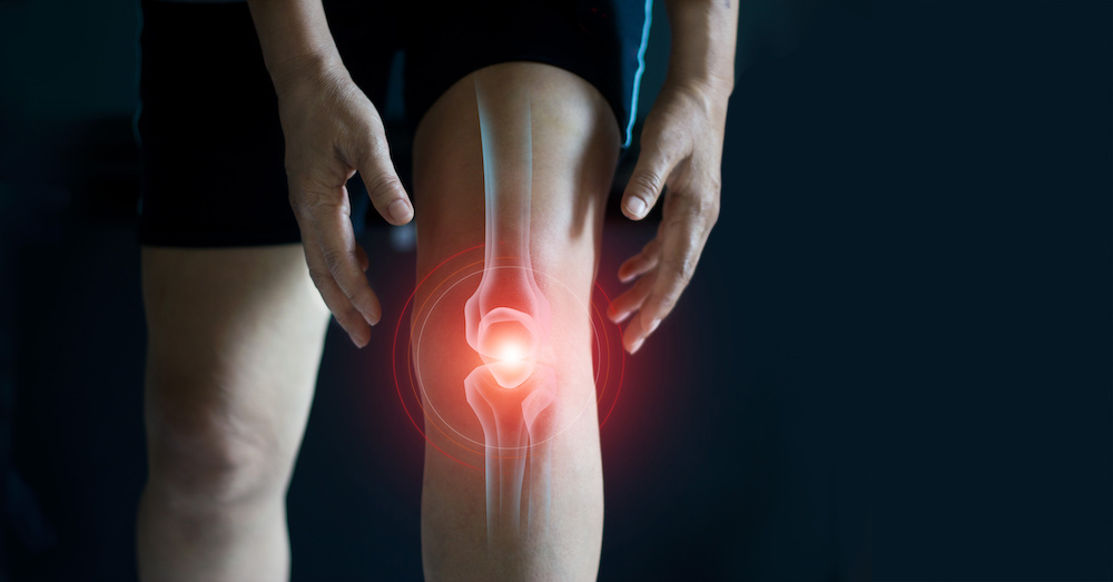 pain in the knee joint
