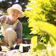Older woman safely gardening to avoid a flare-up in her arthritis
